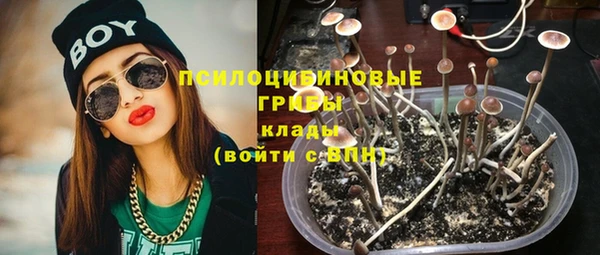 спиды Горно-Алтайск