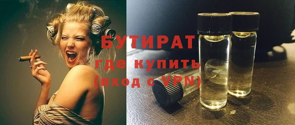 хмурый Гусь-Хрустальный